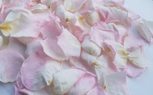 Bulk Rose Petal Confetti